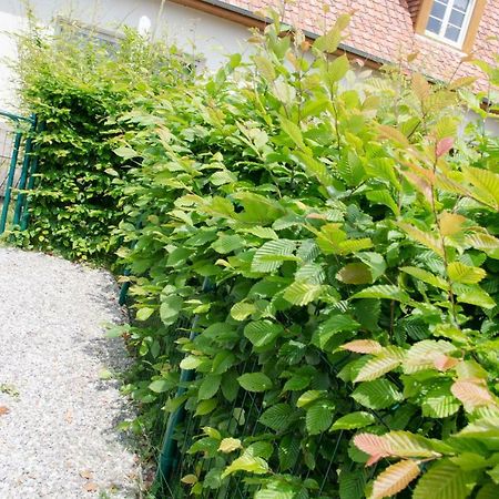 Whitley Cottage Condette Екстериор снимка